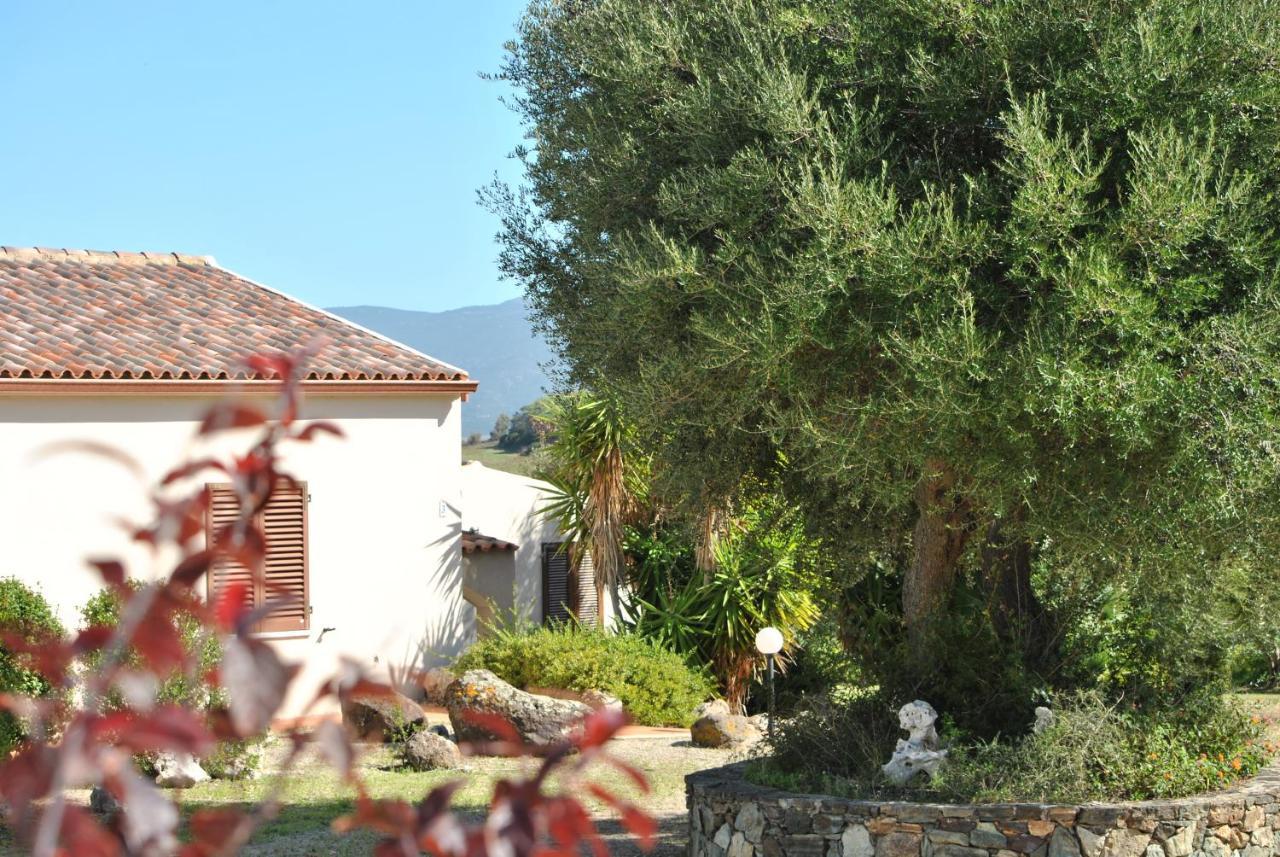 La Casa Di Spinosella Apartment Valledoria  Luaran gambar